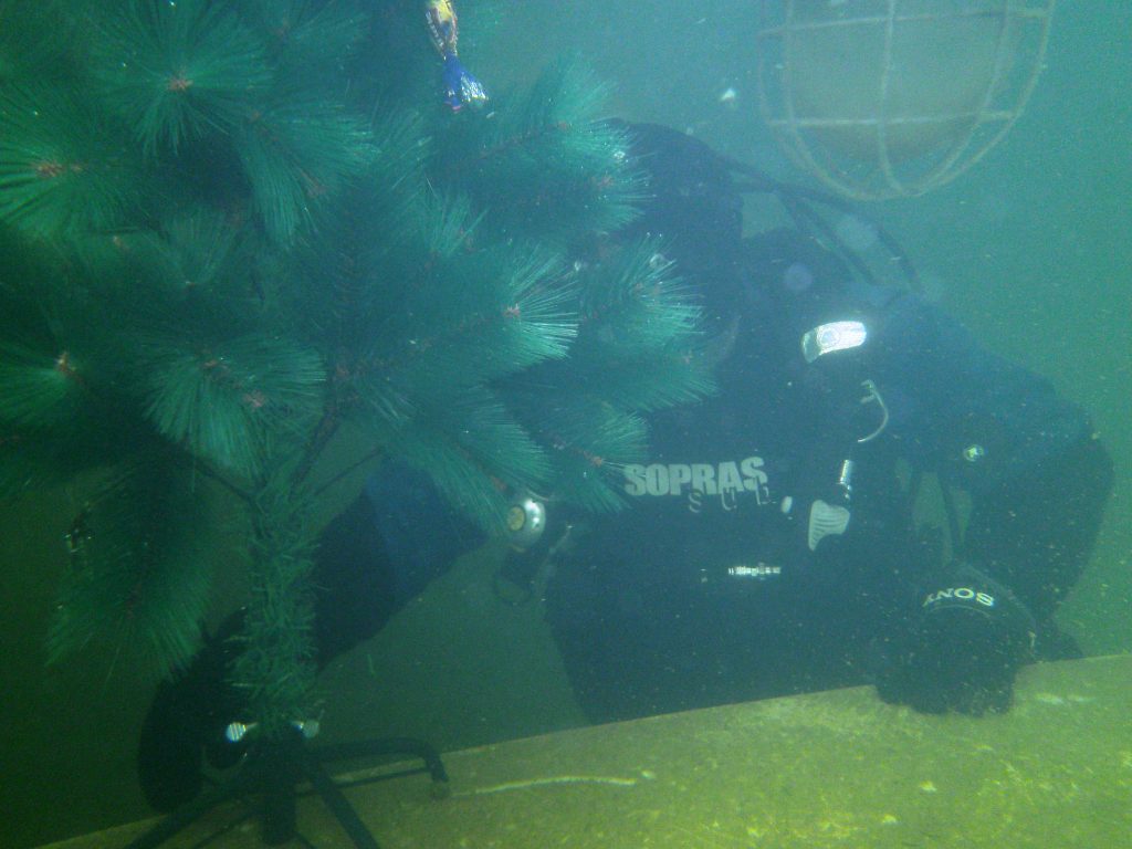 Christmas tree underwater