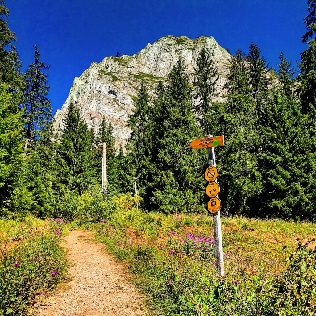 Bike trail