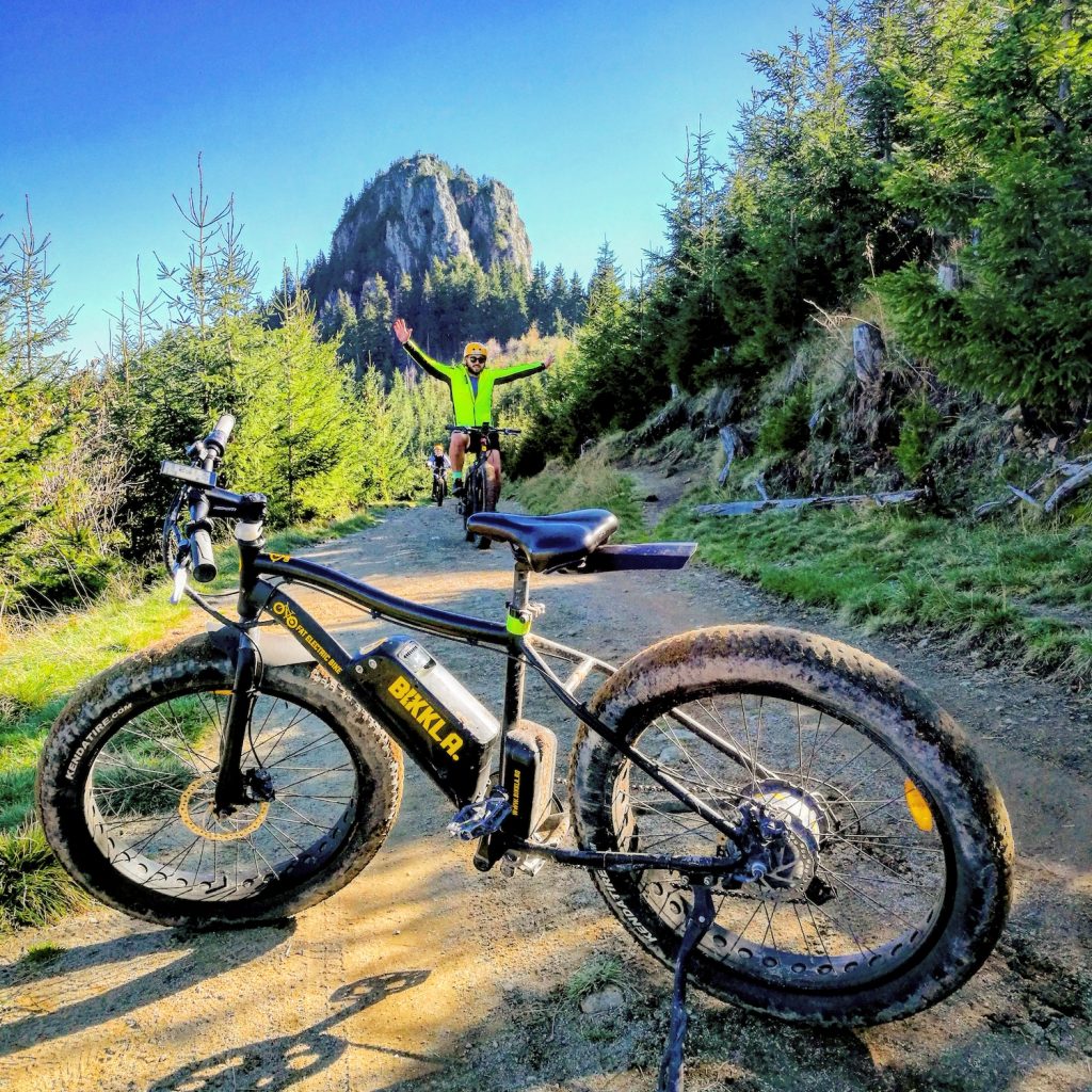 Fat ebike