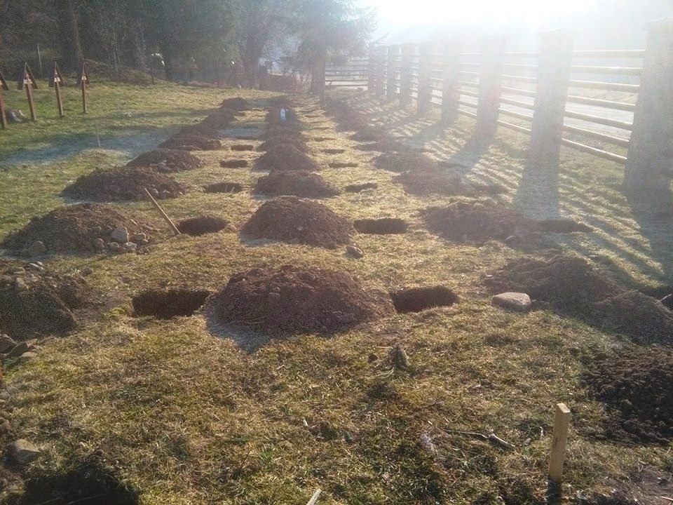 Grave Preparations