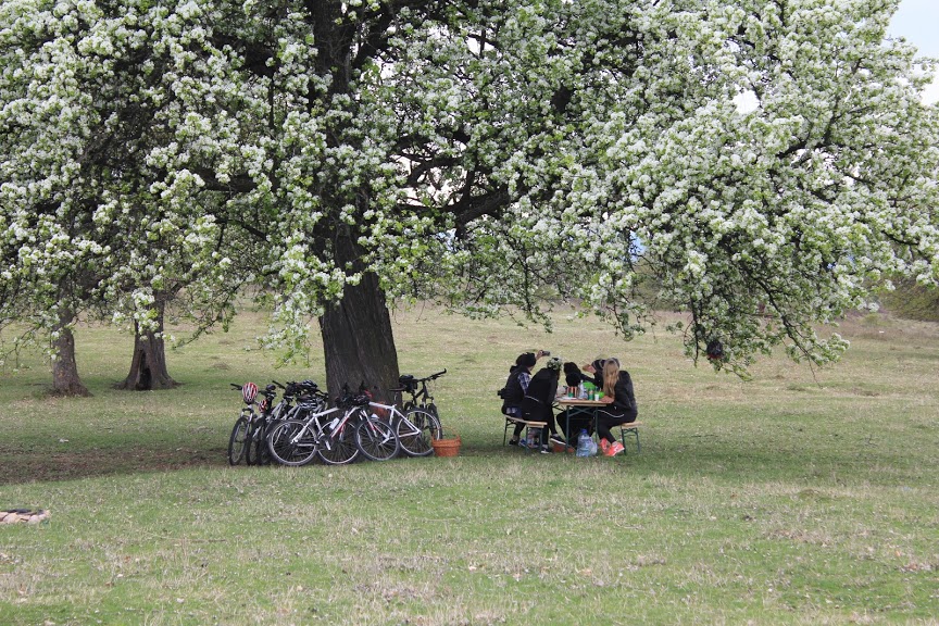 Hungarian Cycling 