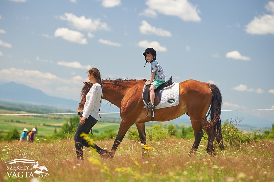 Horse riding lessons for kids