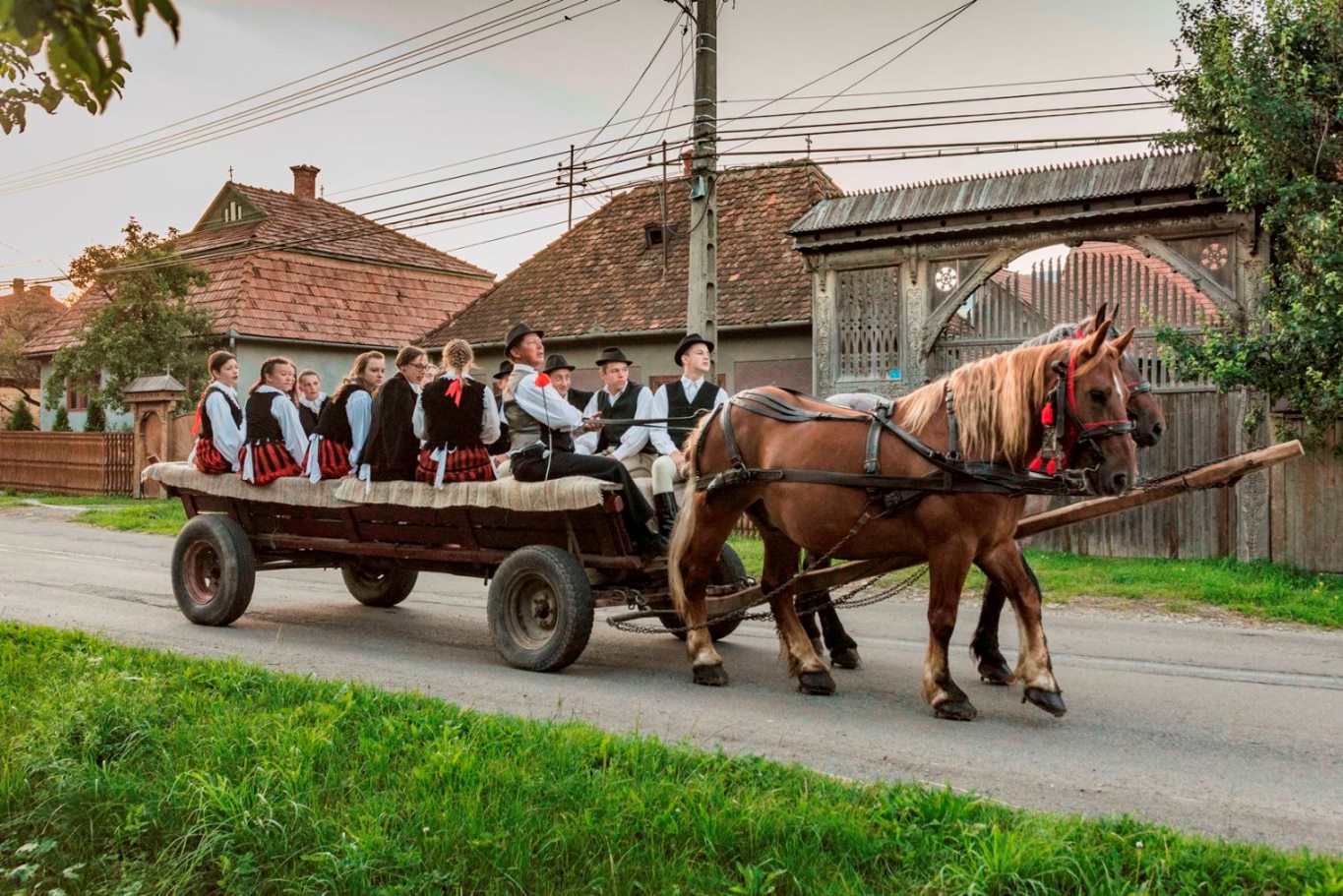 Csíkszentgyörgy Horses