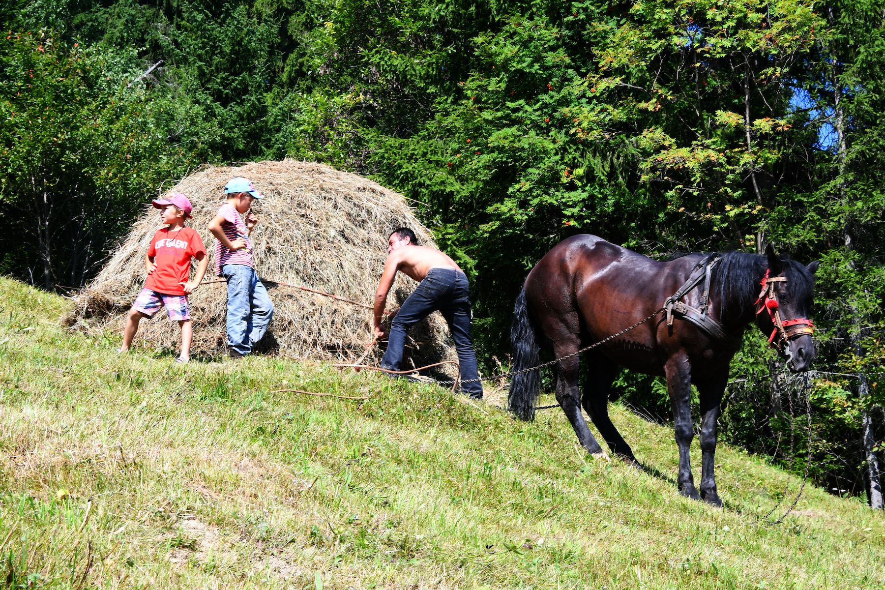 Father with his two sons and horse