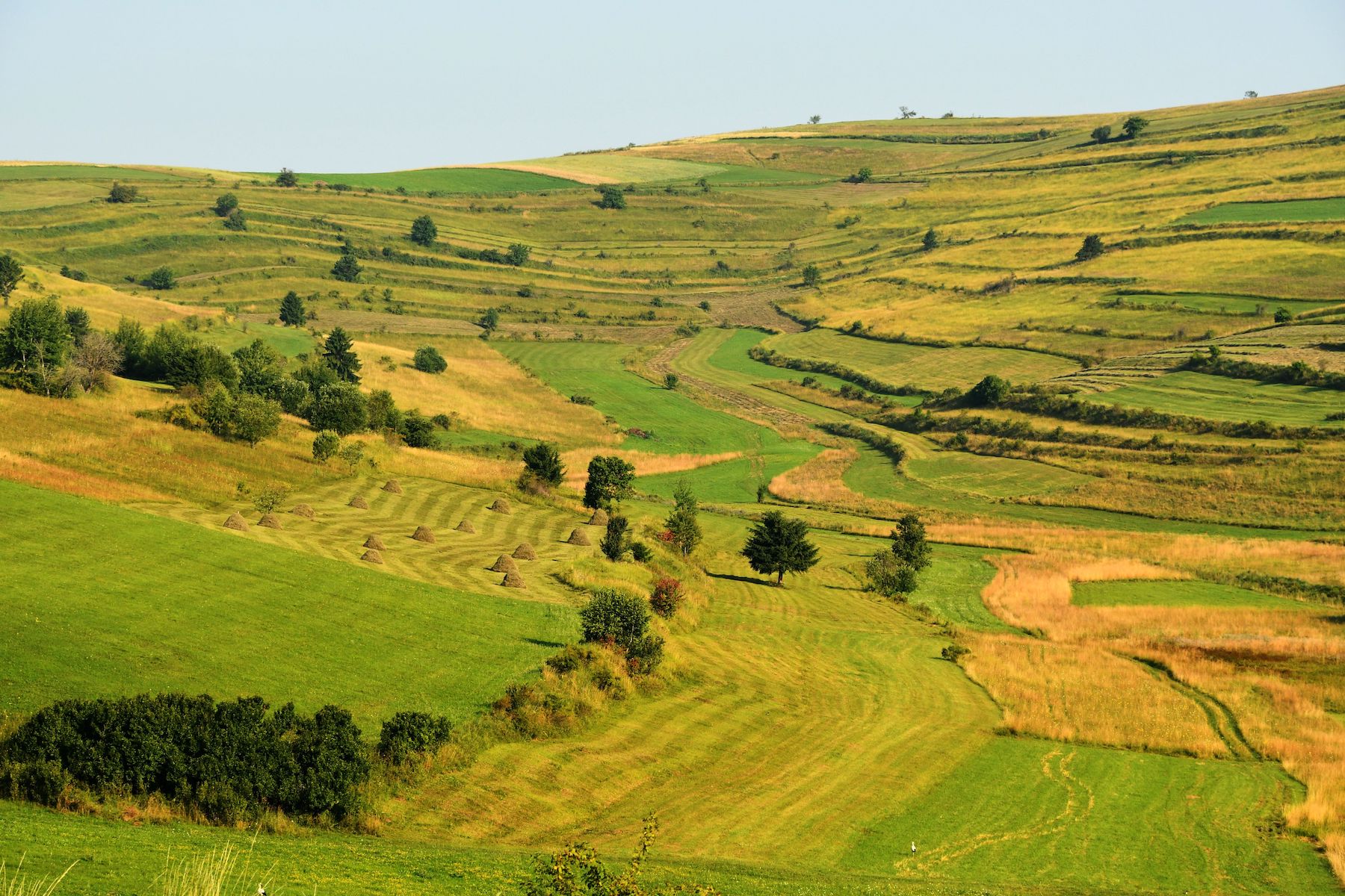 Csík Basin