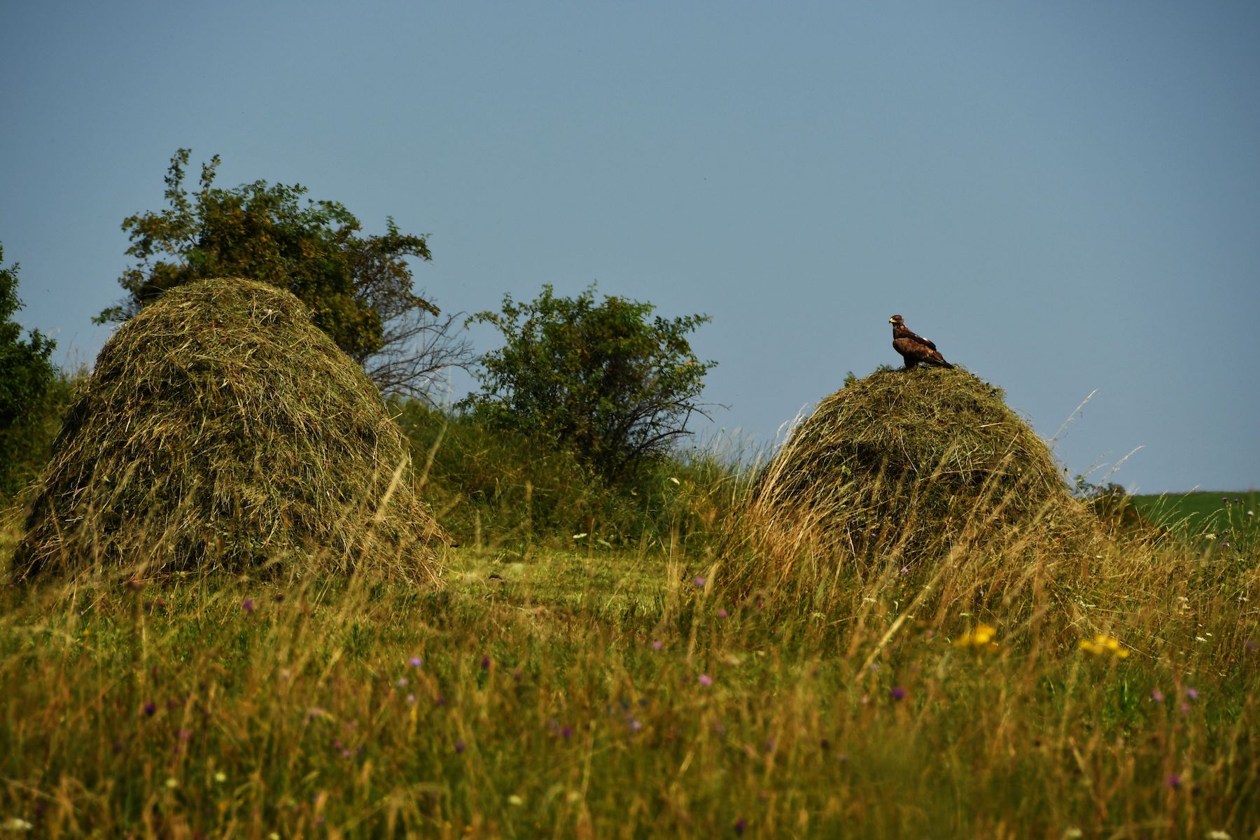 Landscapes in Transylvania