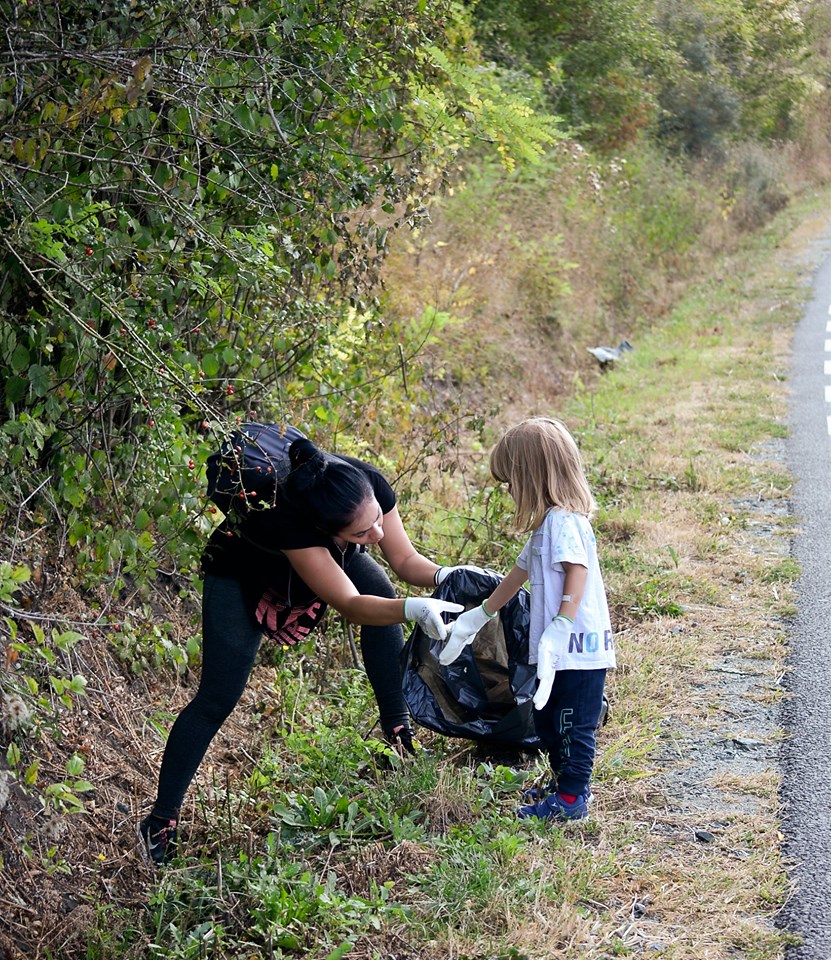 Little Girl Helping