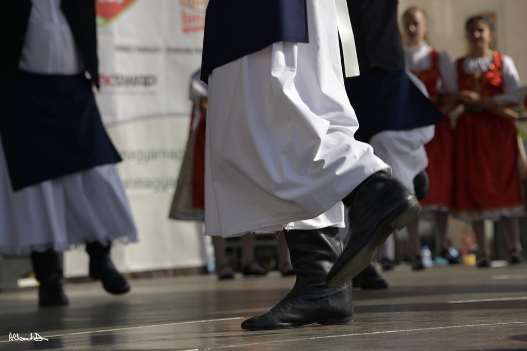 Hungarian Days in Temesvár