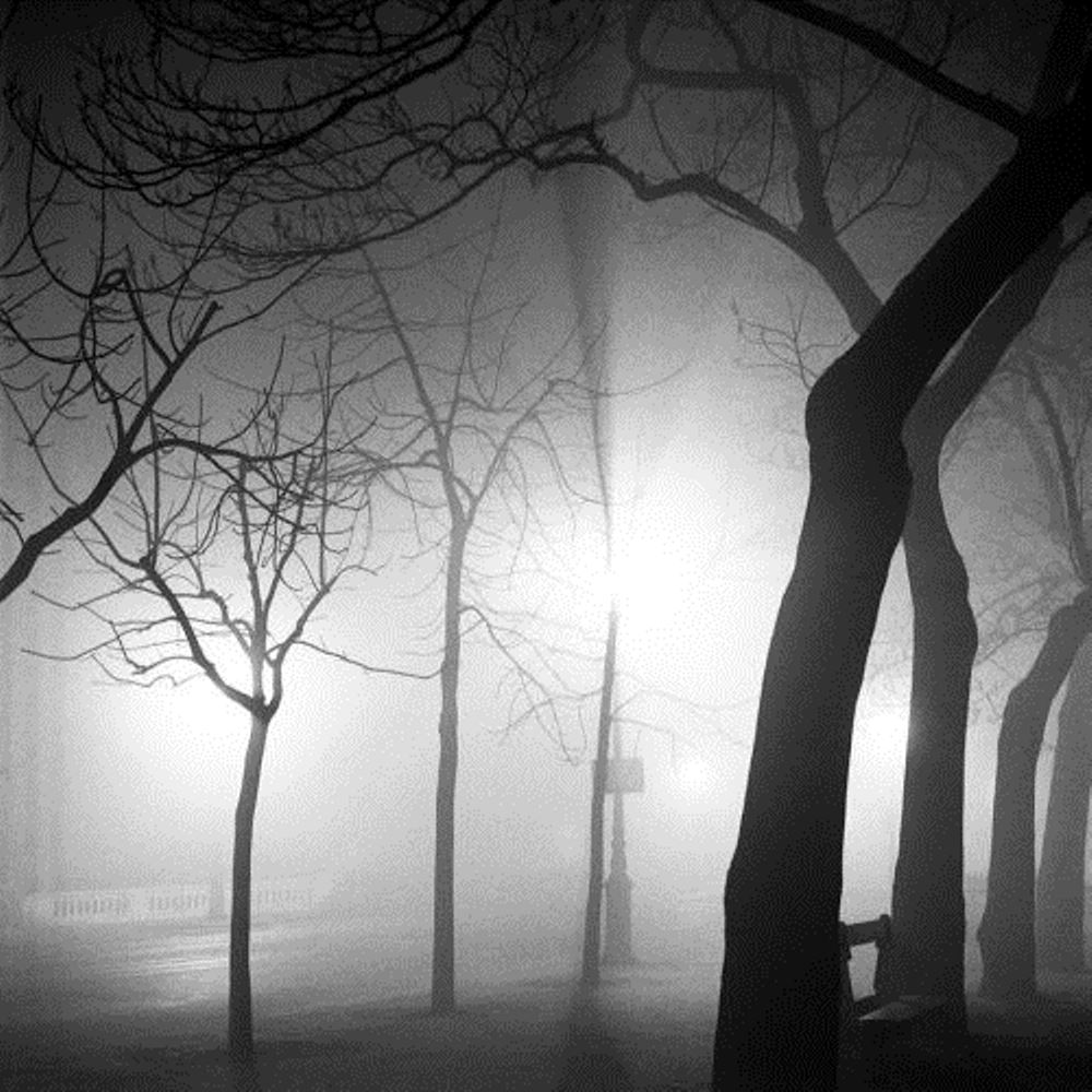 Fog, Paris at Night, 1936
